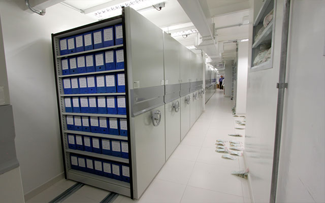 Arquivo Deslizante Faculdade de Medicina USP Universidade do Estado de S&atilde;o Paulo